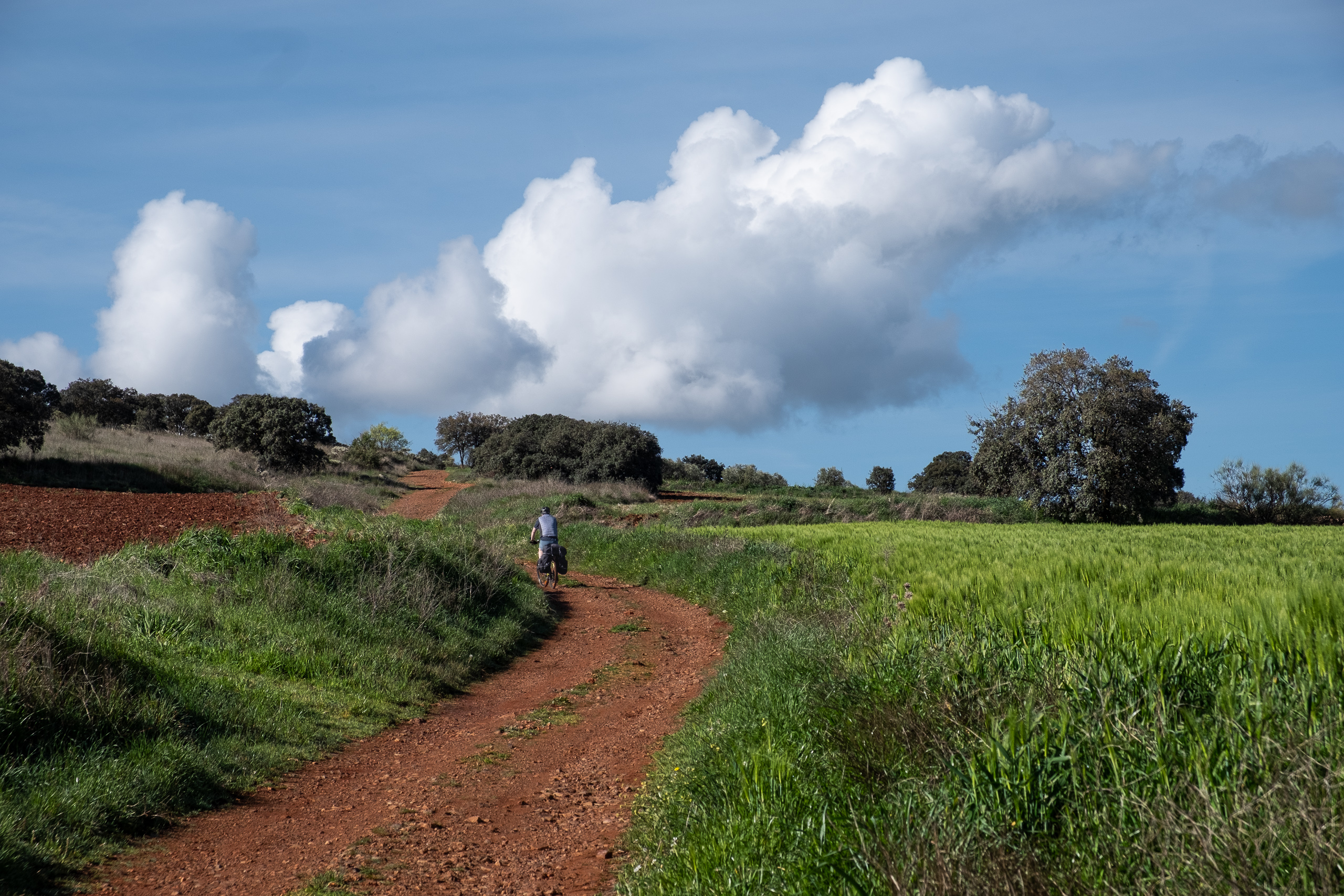 Auf rotem Feldweg durch die La Mancha
